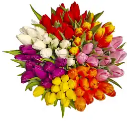 Albert Heijn AH Tulpen oranje aanbieding