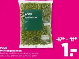 PLUS PLUS Wintergroenten aanbieding