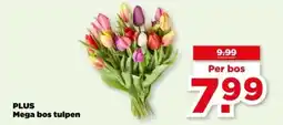 PLUS PLUS Mega bos tulpen aanbieding