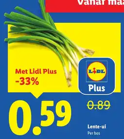 Lidl Lente-ui aanbieding