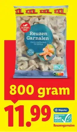 Lidl Reuzengarnalen aanbieding