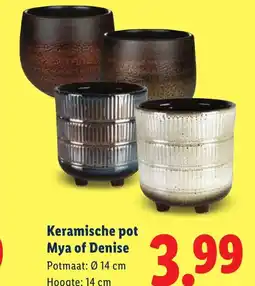 Lidl Keramische pot Mya of Denise aanbieding