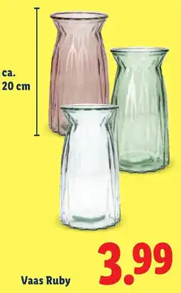 Lidl Vaas Ruby aanbieding