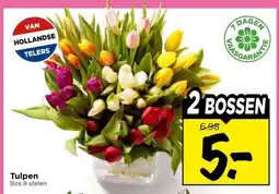 Vomar Voordeelmarkt Tulpen aanbieding