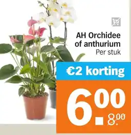 Albert Heijn AH Orchidee of anthurium aanbieding