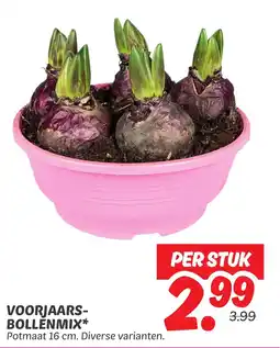 Dekamarkt Voorjaars bollenmix aanbieding