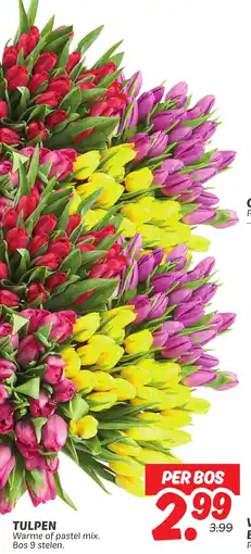 Dekamarkt Tulpen aanbieding