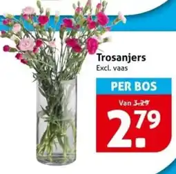 Hoogvliet Trosanjers aanbieding