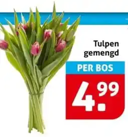 Hoogvliet Tulpen gemengd aanbieding