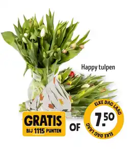 Jumbo Happy tulpen aanbieding