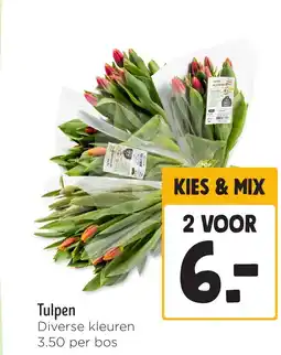Jumbo Tulpen aanbieding