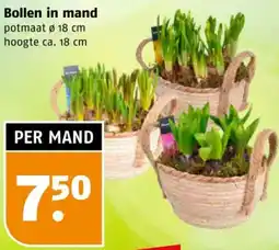 Poiesz Bollen in mand aanbieding