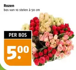 Poiesz Rozen aanbieding