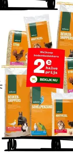 Welkoop Welkoop bodembedekkers aanbieding