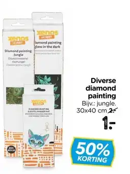 Xenos Diverse diamond painting aanbieding