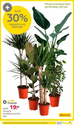 Praxis Groene kamerplanten mix ⌀24cm ↕120cm aanbieding