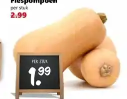 Coop Flespompoen aanbieding