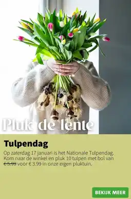 Intratuin Tulpendag aanbieding