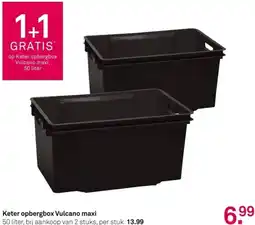 Karwei Keter opbergbox Vulcano maxi aanbieding