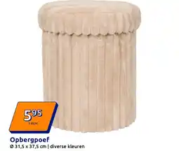 Action Opbergpoef aanbieding