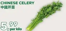 Amazing Oriëntal CHINESE CELERY aanbieding