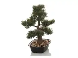 Lidl hjh OFFICE Kunstboom Bonsai 44 cm aanbieding