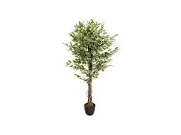 Lidl hjh OFFICE Kunstplant Ficus aanbieding