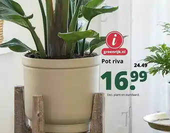 GroenRijk Pot Riva aanbieding