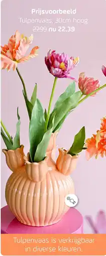 Coppelmans Tulpenvaas aanbieding