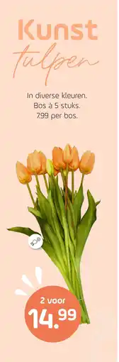 Coppelmans Kunst tulpen aanbieding