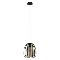 Praxis EGLO hanglamp Encinitos 1xE27 zwart 255mm aanbieding