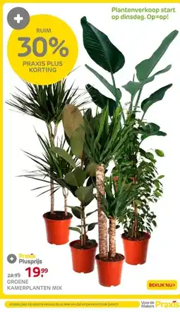Praxis Groene Kamerplanten Mix aanbieding