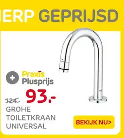 Praxis Grohe Toiletkraan Universal aanbieding