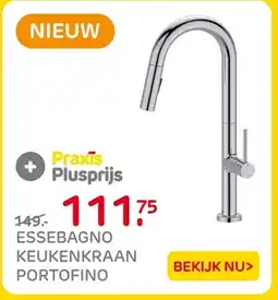 Praxis Essebagno Keukenkraan Portofino aanbieding