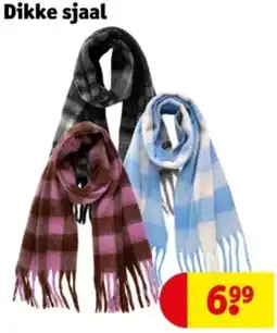 Kruidvat Dikke sjaal aanbieding