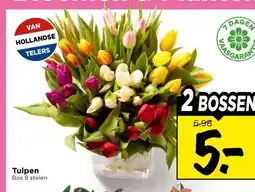 Vomar Voordeelmarkt Tulpen aanbieding