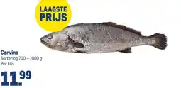 Makro Corvina aanbieding