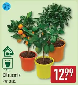 ALDI Citrusmix aanbieding