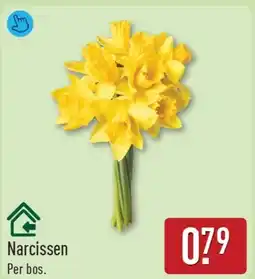 ALDI Narcissen aanbieding