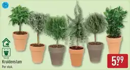 ALDI Kruidenstam aanbieding
