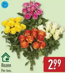 ALDI Rozen aanbieding