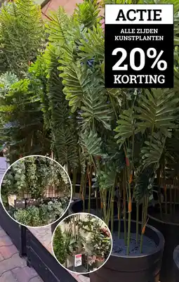 Tuincentrum Osdorp ACTIE ALLE ZIJDEN KUNSTPLANTEN 20% KORTING aanbieding