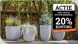 Tuincentrum Osdorp ACTIE VEEL CAPI XL POTTEN MINIMAAL 20% KORTING aanbieding