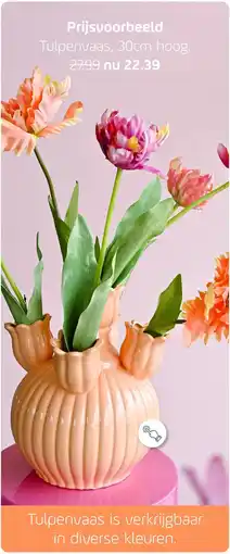 Coppelmans Tulpenvaas aanbieding