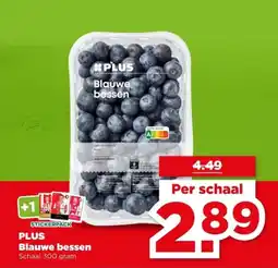 PLUS PLUS Blauwe bessen aanbieding