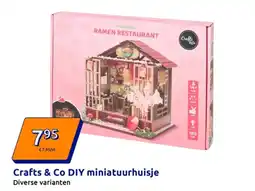 Action Crafts & Co DIY miniatuurhuisje aanbieding