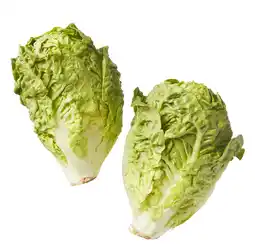 PLUS Biologisch PLUS Little gem biologisch aanbieding