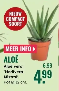 GroenRijk Aloë aanbieding