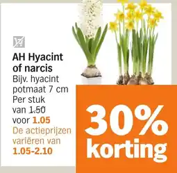 Albert Heijn AH Hyacint of narcis aanbieding
