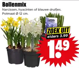 Dirk Bollenmix aanbieding
